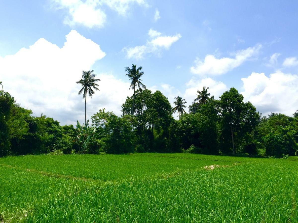 Villa Santai Ubud  Exterior photo